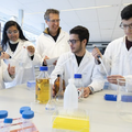 HU-studenten werken met bacteriën aan duurzame kerosine